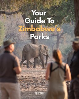 If Zimbabwe’s on your mind, we’ve got you 🐘

From Victoria Falls spray and Hwange’s elephant waterholes 🏞️

To Mana Pools river walks, Matobo’s granite rhinos and Gonarezhou’s raw frontier 🪨

This is safari with waterfalls, walking and wilderness in one country 🌍

#UncoverZimbabwe #UncoverAfrica #ZimSafari #VicFalls #TravelAfrica