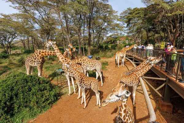 Nairobi Capital of Kenya