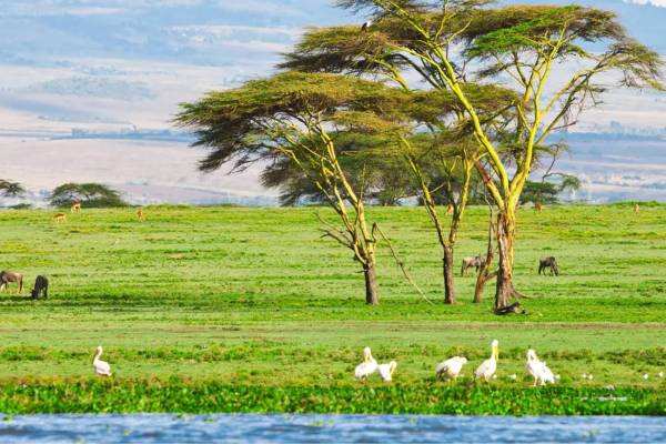 Naivasha Town in Kenya
