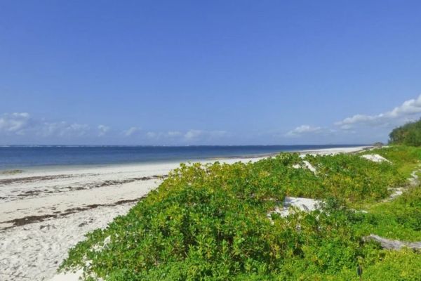 watamu beach guide